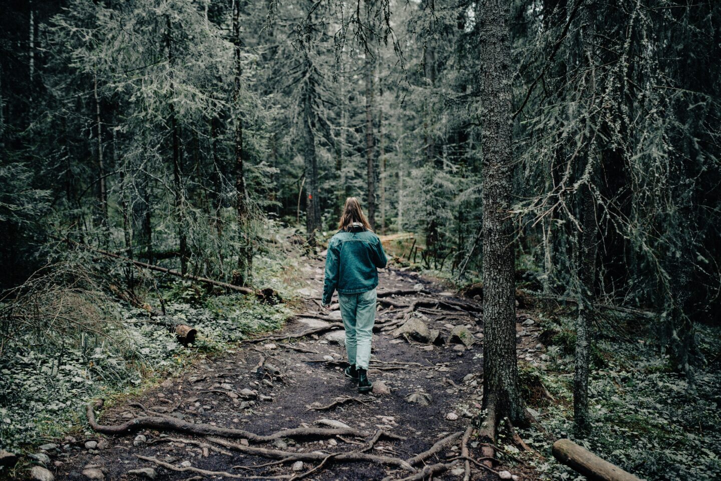 Chasing Waterfalls - Image 3