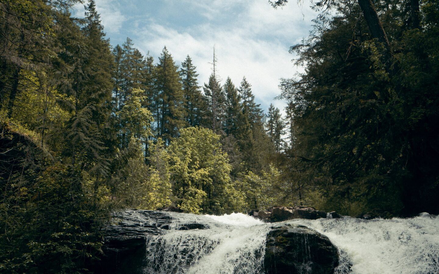 Chasing Waterfalls - Image 4