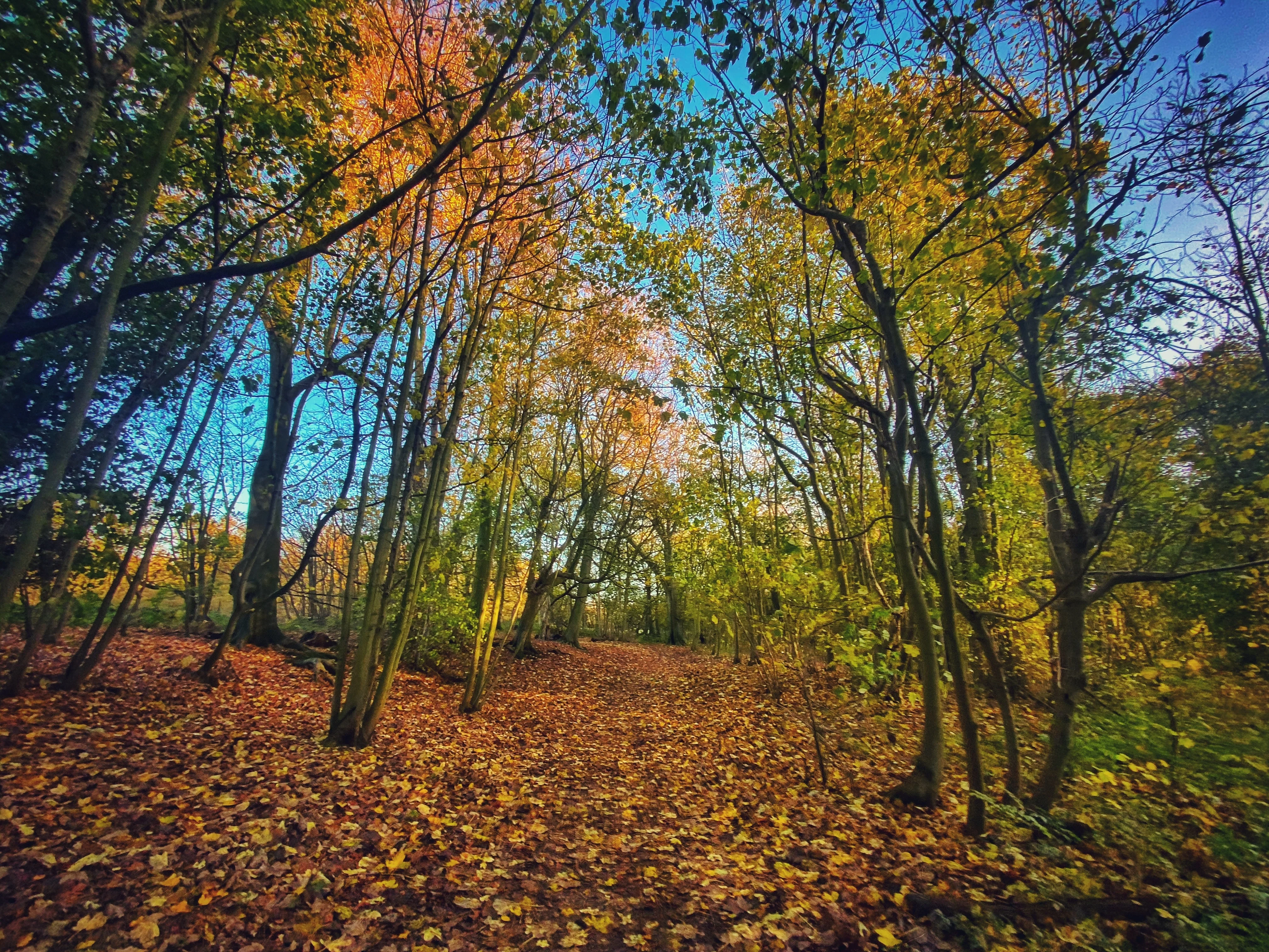 Funky Farms & Storybook Tales - Image 4