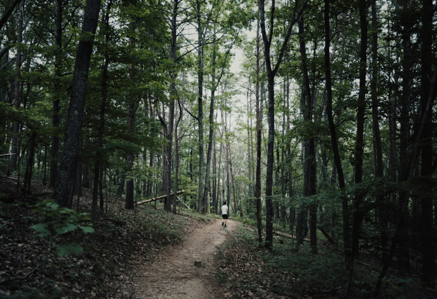 Mountain Marvels - Image 4