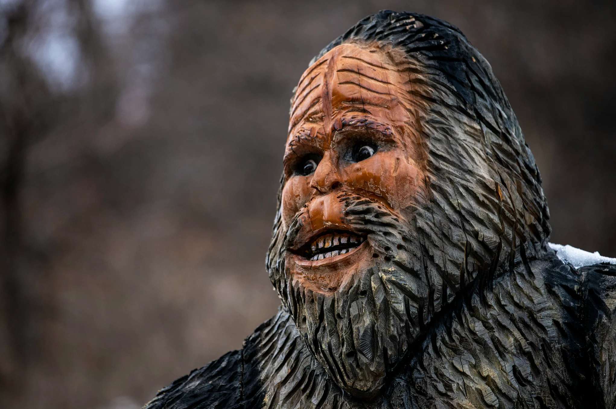 Mountain Marvels - Image 5