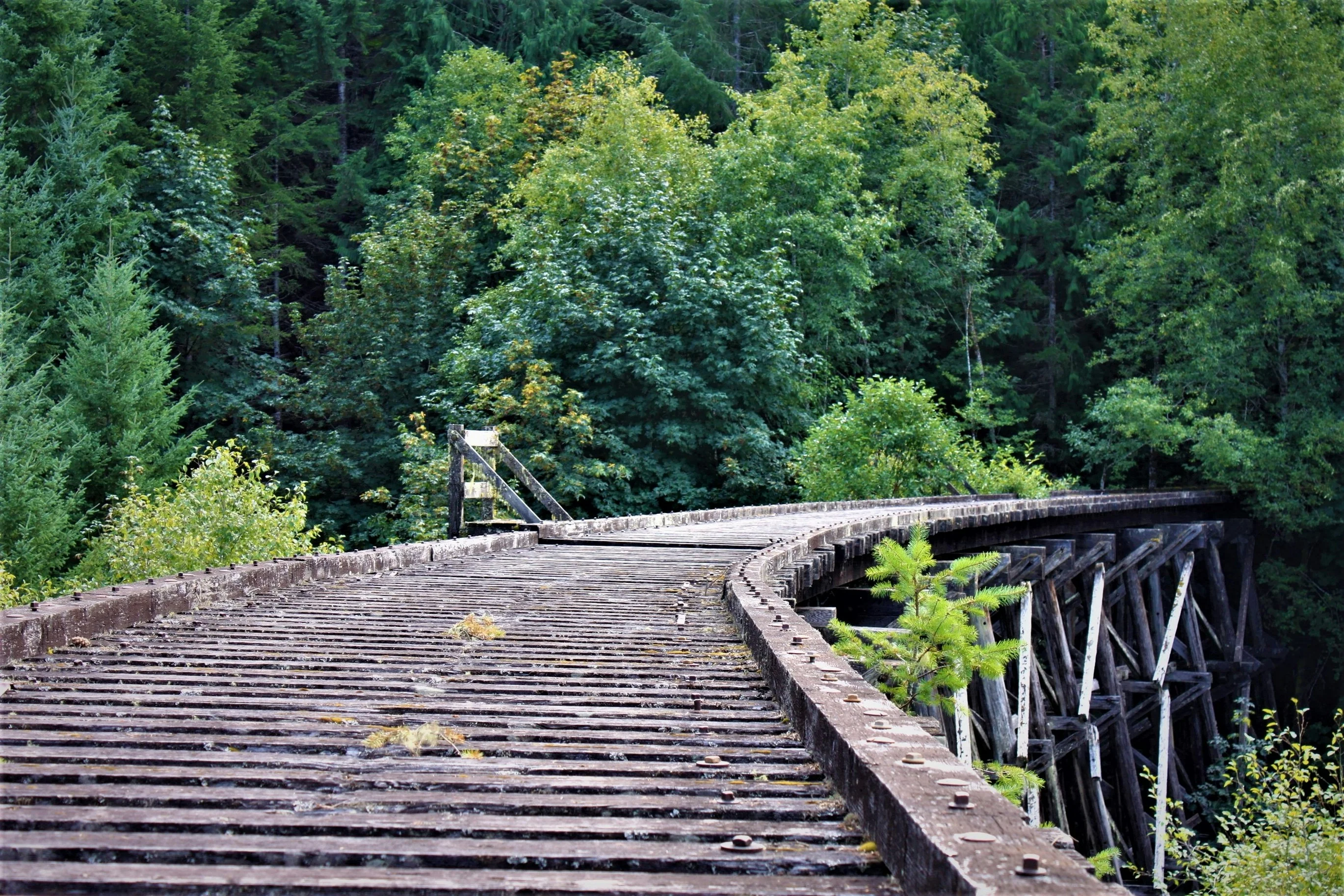 Peculiar Wonders - Image 3