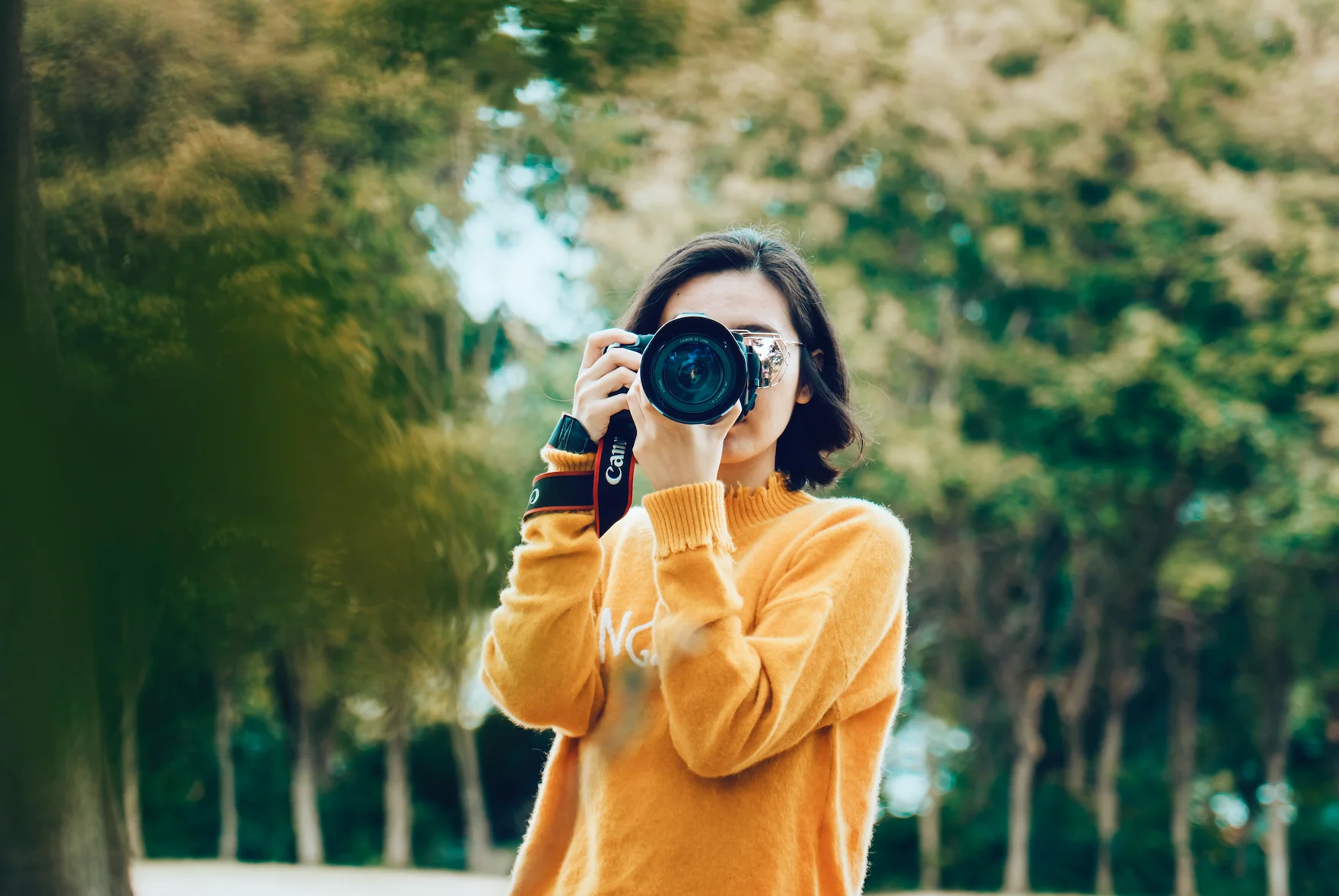 Picture Perfect Discoveries - Image 6