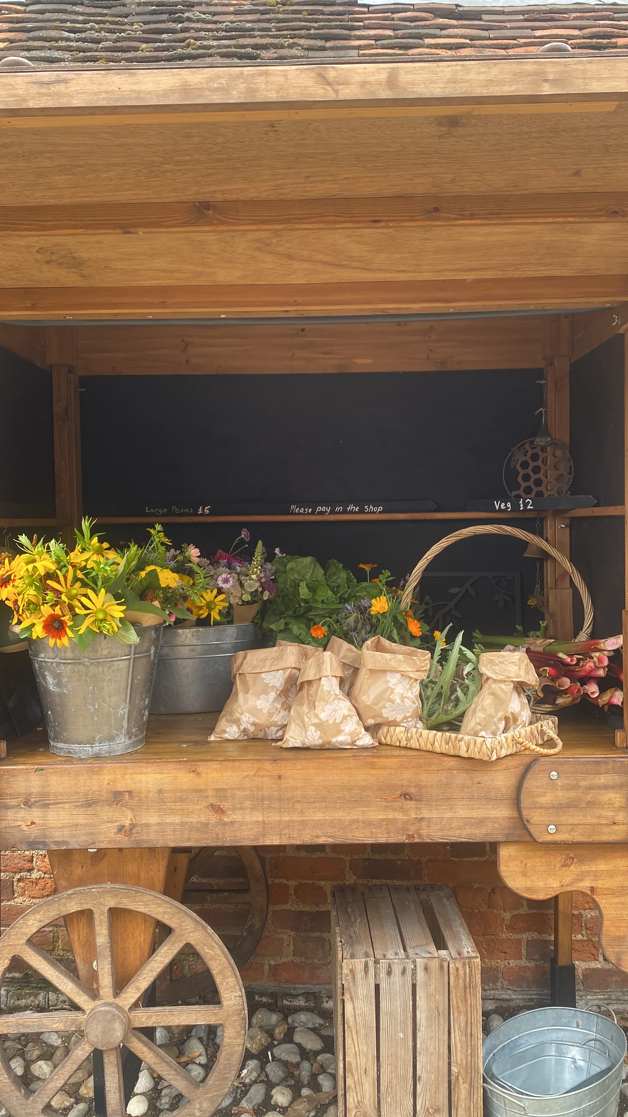 Secrets in the South - Image 4