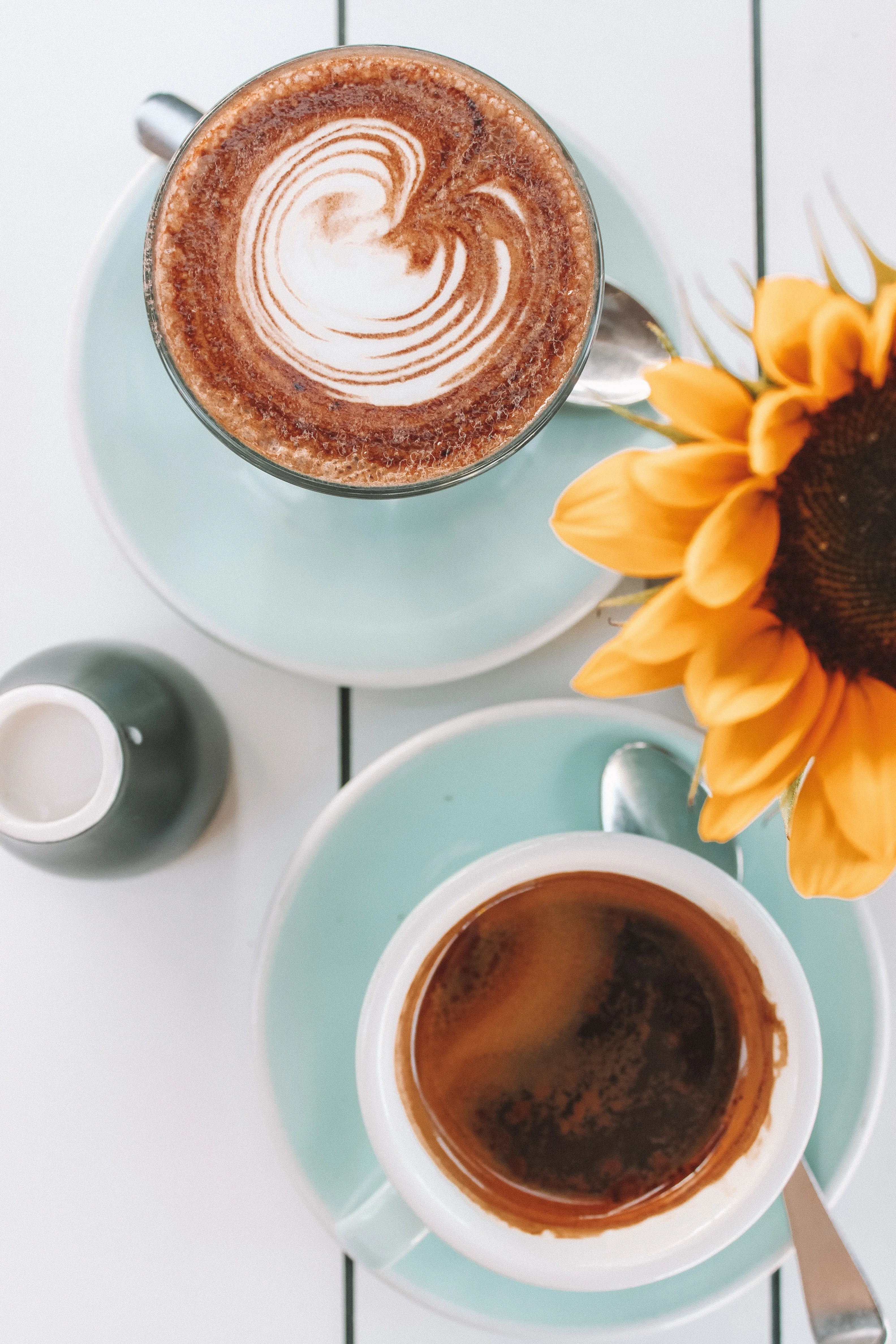 Sandhills Sauntering - Image 5