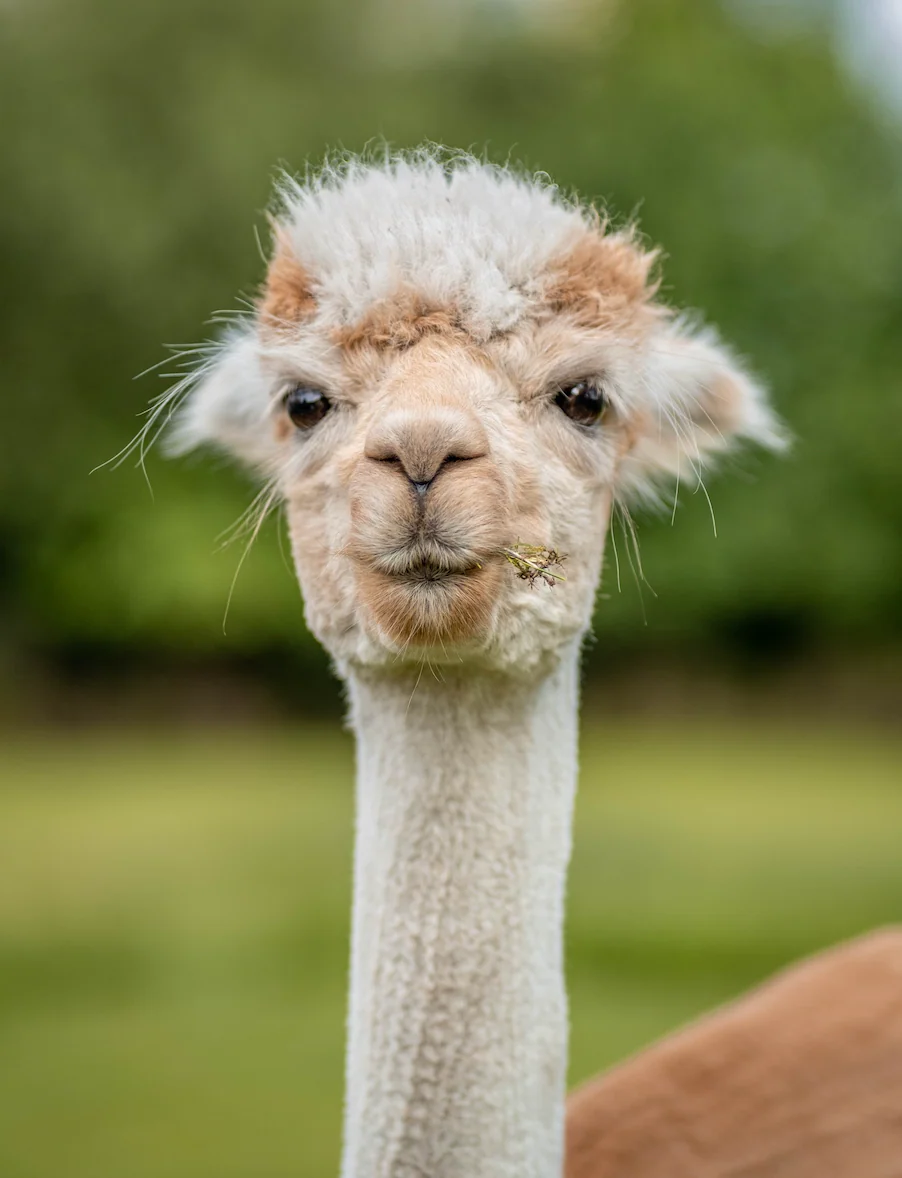 Winding Roads & Historic Gems - Image 6